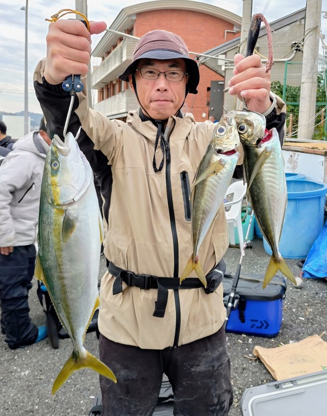 アジ(マアジ)・イナダ(ブリ)