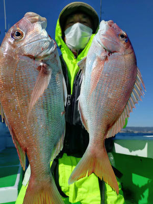 マダイ・ハナダイ(チダイ)