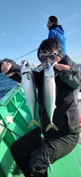 サバ(マサバ)・サバ(ゴマサバ)