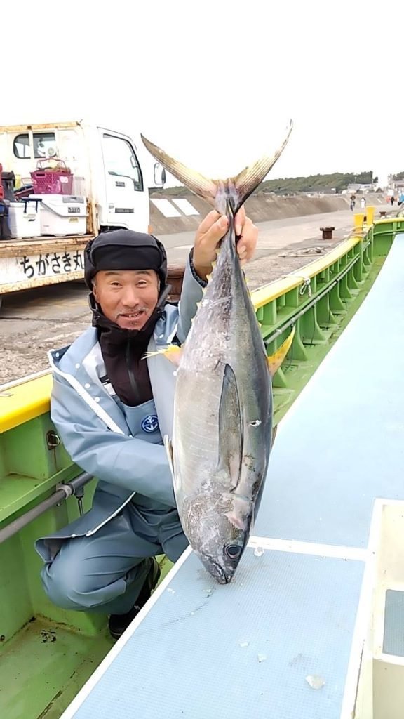 キメジ(キハダ)