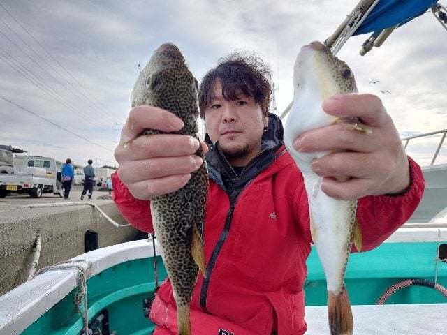 ショウサイフグ