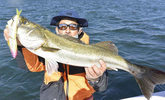 シーバス(スズキ)