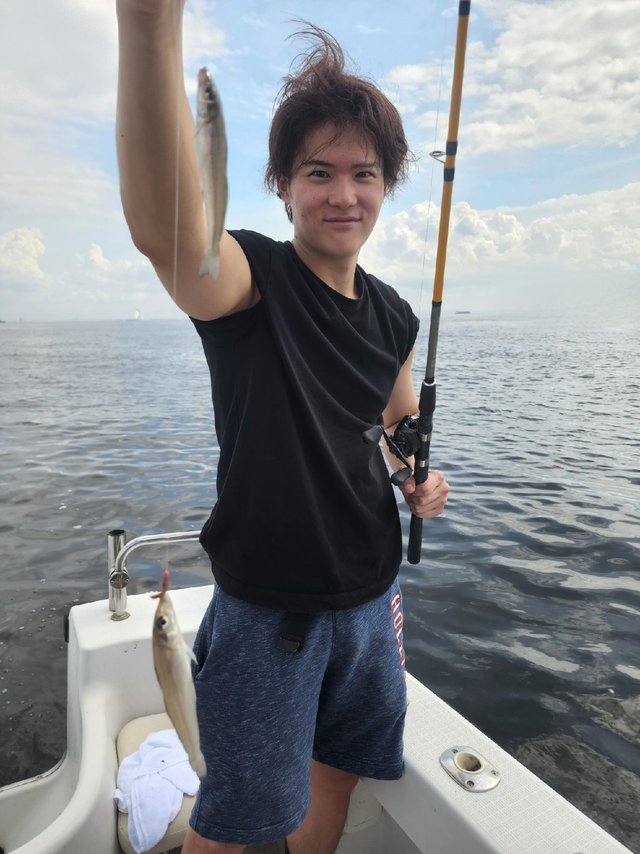 キス(シロギス)