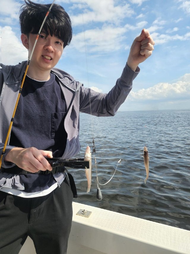 キス(シロギス)