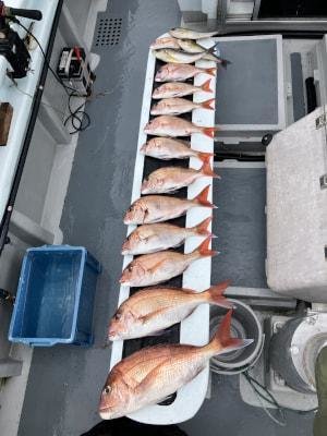 マダイ・イサキ