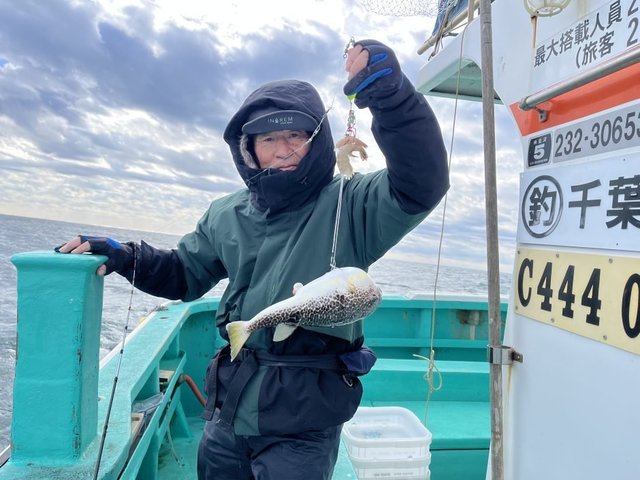 フグ(ショウサイフグ)