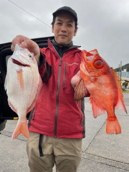 マダイ・キントキ(チカメキントキ)