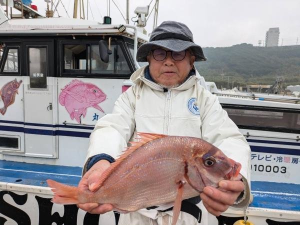 ハナダイ(チダイ)