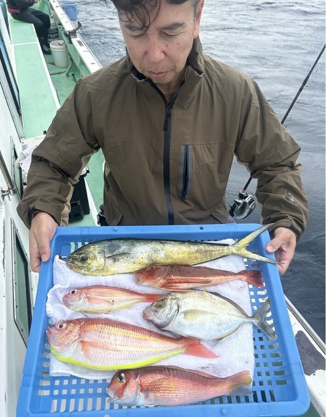 カイワリ・シイラ・アマダイ(アカアマダイ)・イトヨリ(イトヨリダイ)・ホウボウ