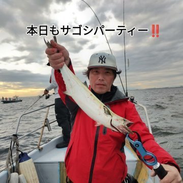 サゴシ(サワラ)