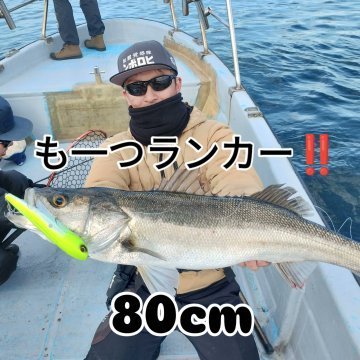 シーバス(スズキ)