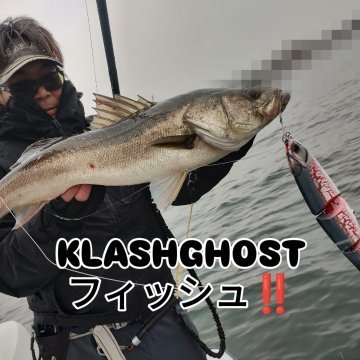 シーバス(スズキ)