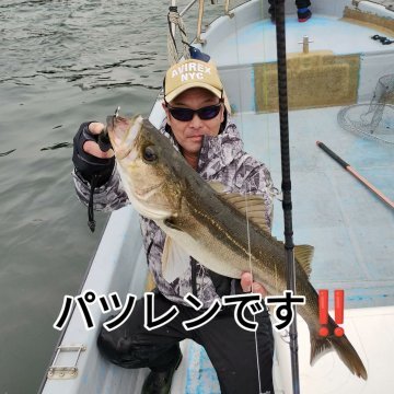 シーバス(スズキ)