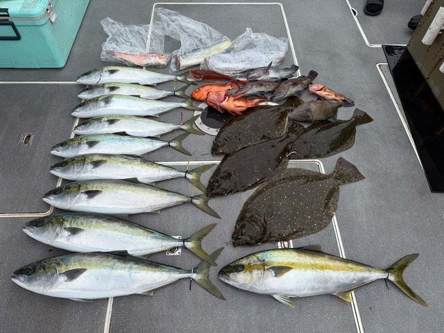 ハマチ(ブリ)・アカアマダイ・チカメキントキ・クロムツ・ヒラメ