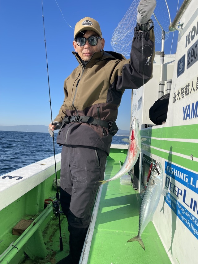 サバ(ゴマサバ)