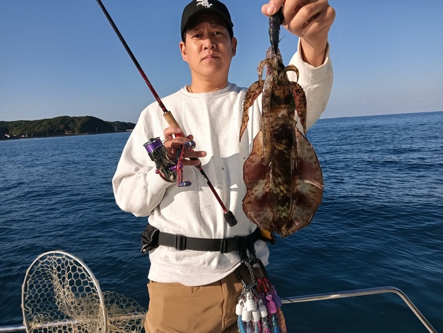 アオリイカ