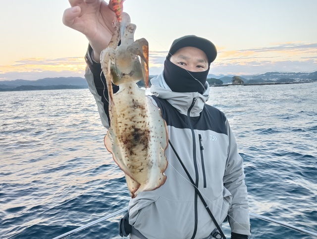 アオリイカ