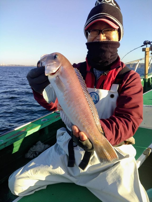 アマダイ(アカアマダイ)