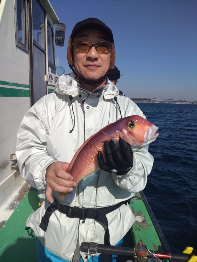 アマダイ(アカアマダイ)