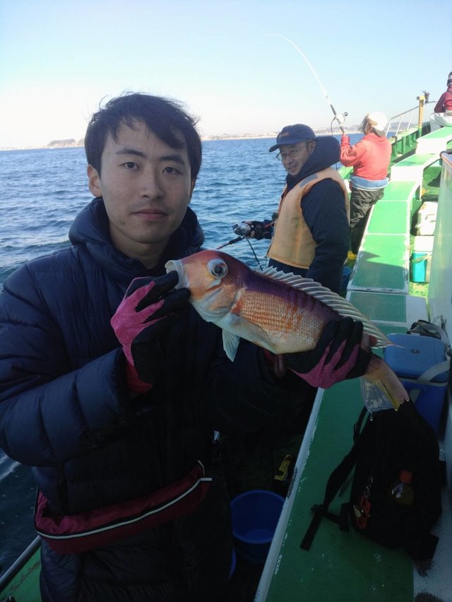 アマダイ(アカアマダイ)