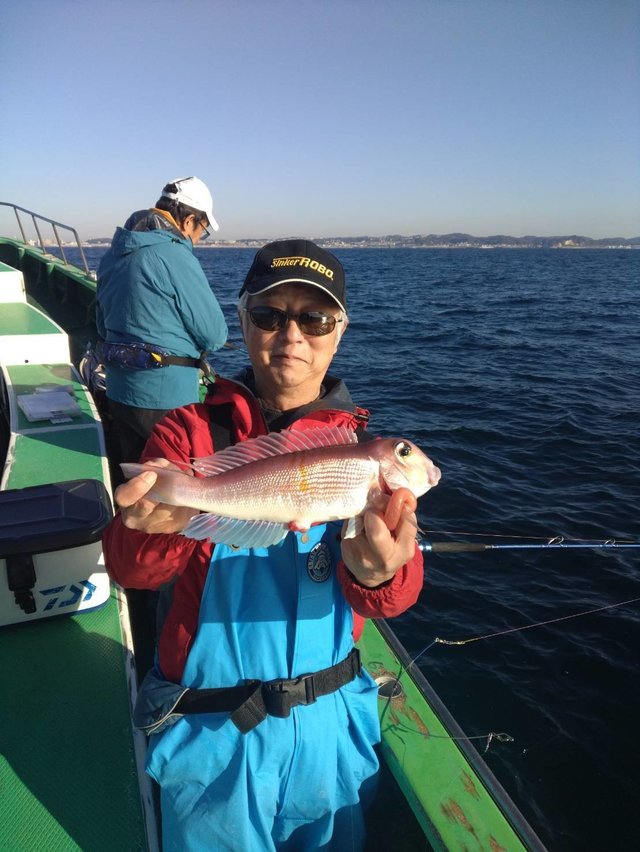 アマダイ(アカアマダイ)