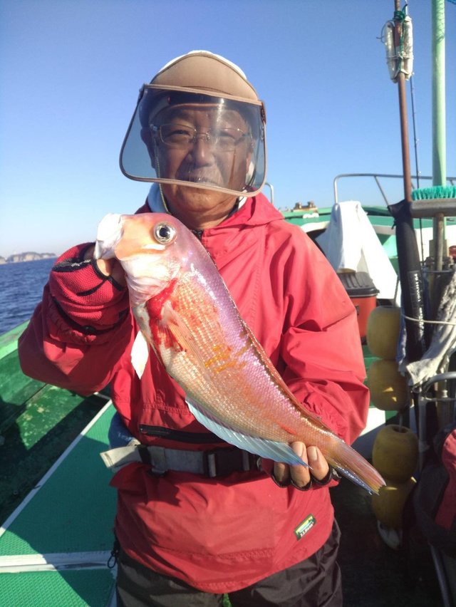 アマダイ(アカアマダイ)