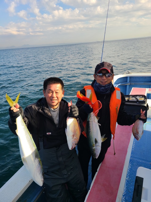 マダイ・ワラサ(ブリ)