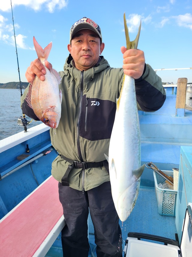 マダイ・ワラサ(ブリ)