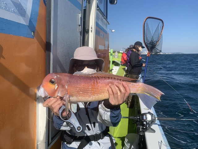 アマダイ(アカアマダイ)