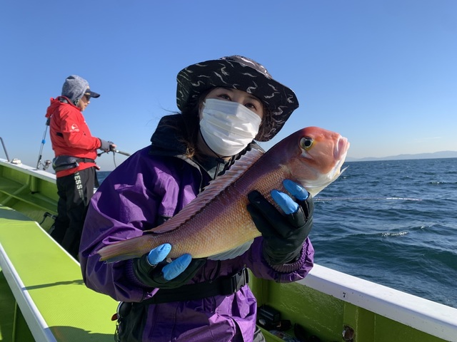 アマダイ(アカアマダイ)