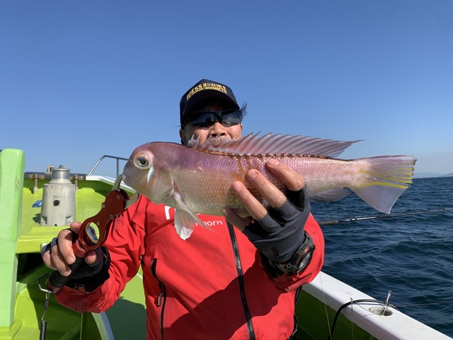 アマダイ(アカアマダイ)