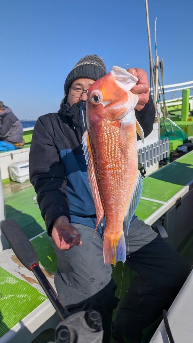 アマダイ(アカアマダイ)