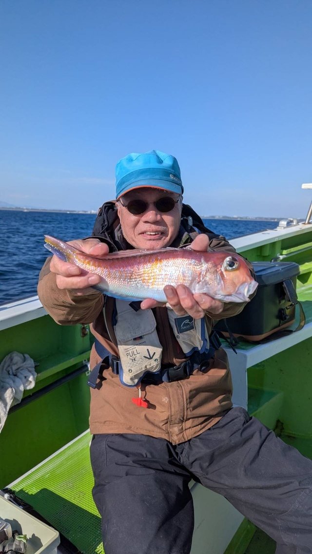 アマダイ(アカアマダイ)