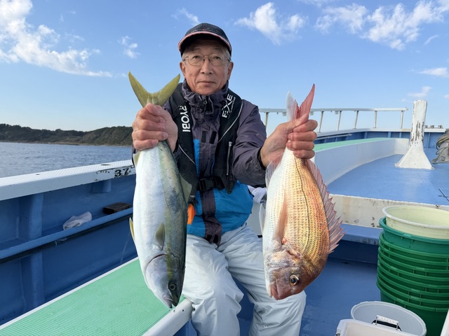 マダイ・イナダ(ブリ)