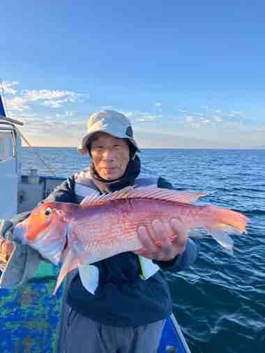 アマダイ(アカアマダイ)