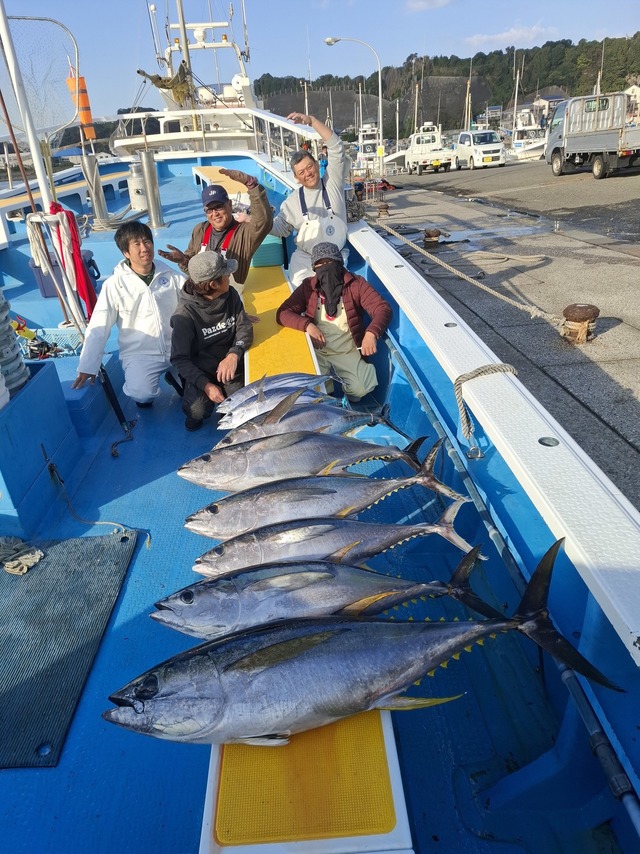 キメジ(キハダ)・カツオ