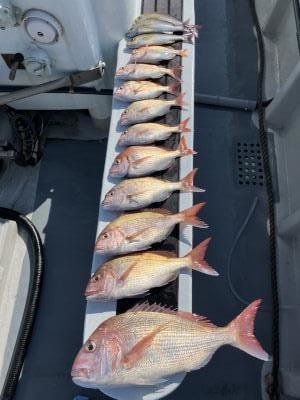 マダイ・イサキ