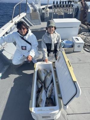 オオモンハタ・ハマチ(ブリ)・シオ(カンパチ)