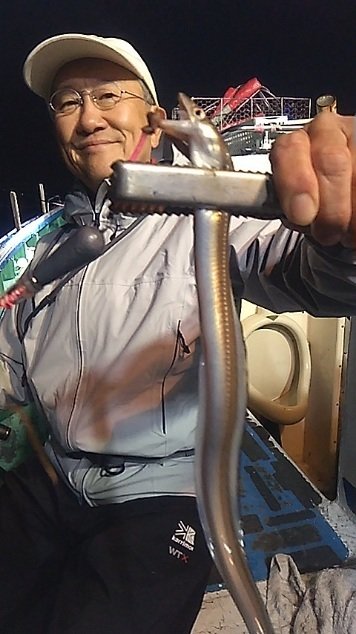 アナゴ(マアナゴ)