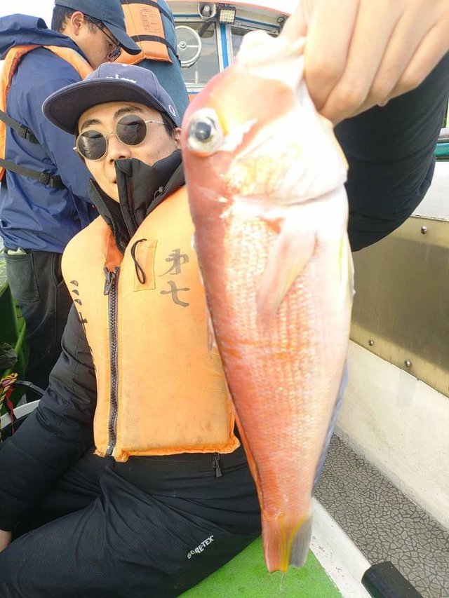 アマダイ(アカアマダイ)