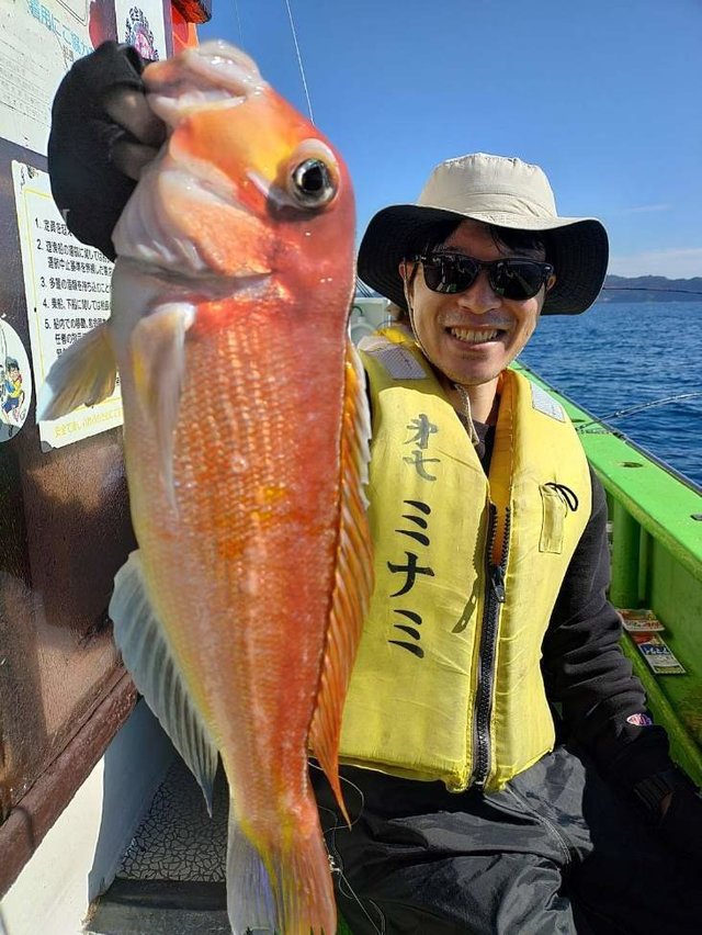 アマダイ(アカアマダイ)