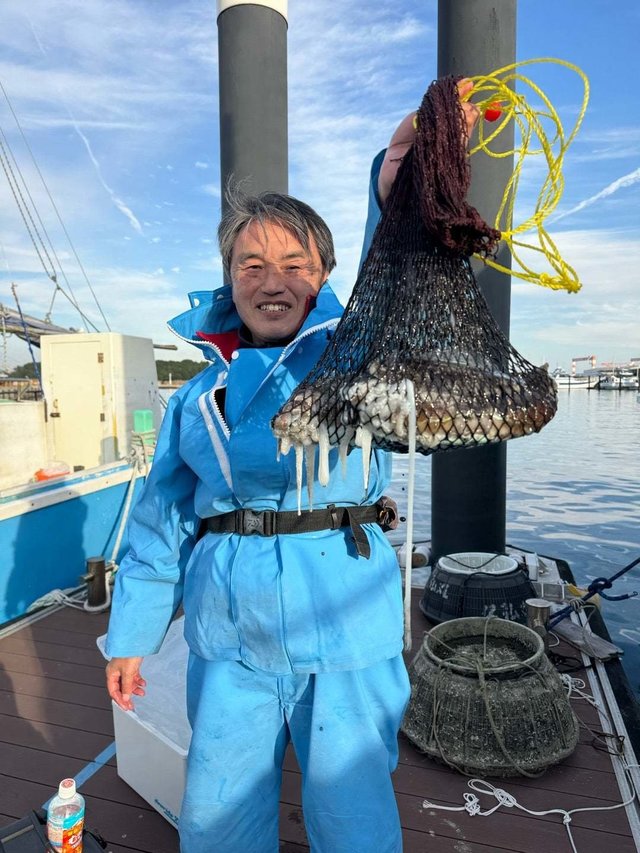 スミイカ(コウイカ)