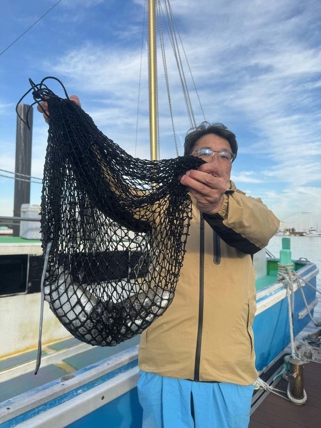 スミイカ(コウイカ)