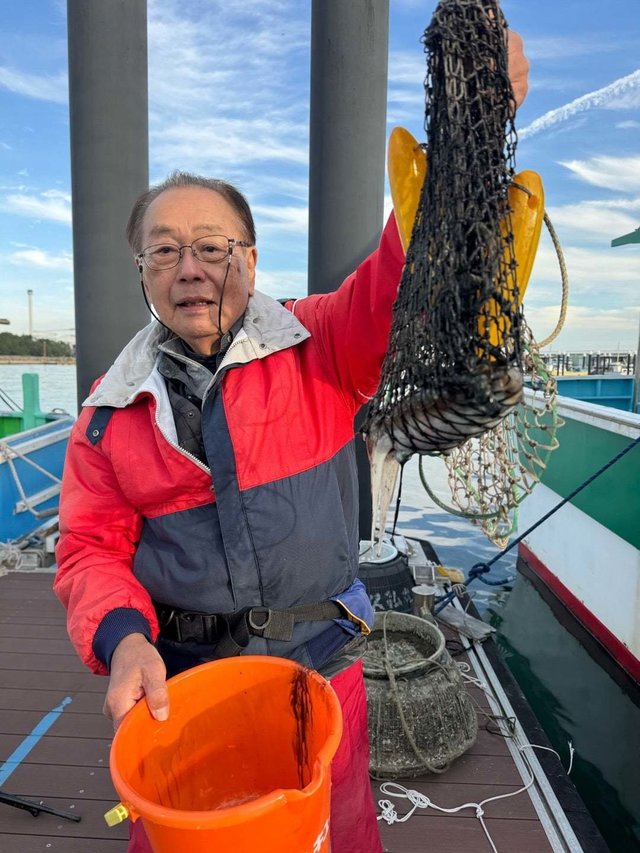 スミイカ(コウイカ)