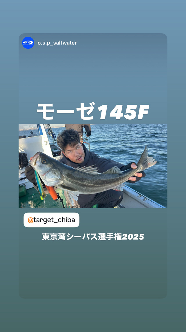 シーバス(スズキ)