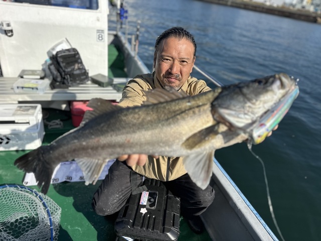 シーバス(スズキ)