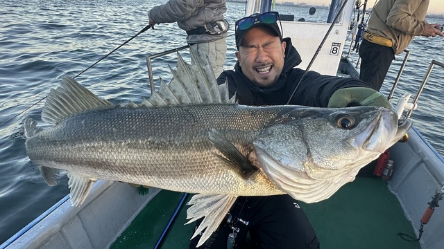 シーバス(スズキ)