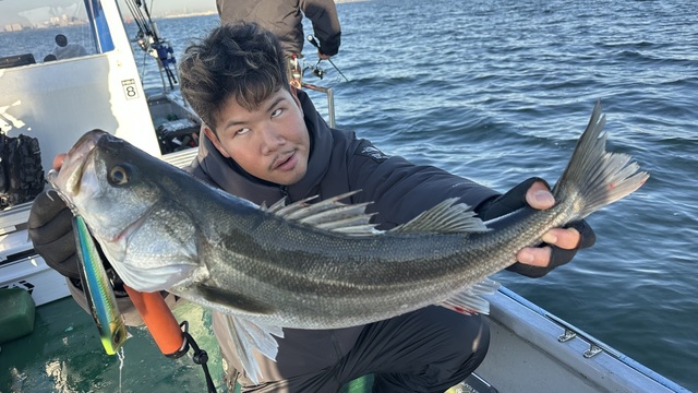 シーバス(スズキ)