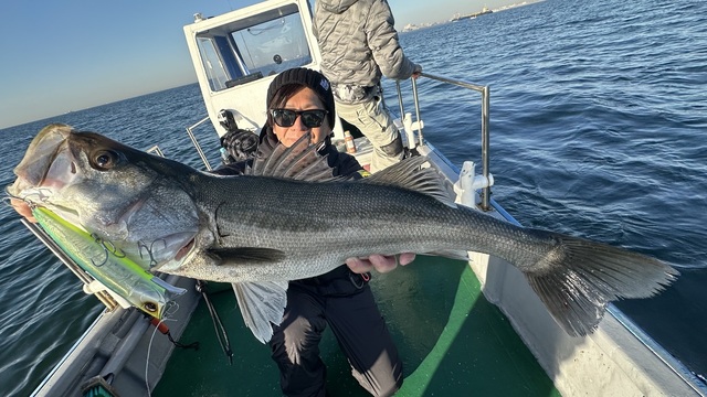 シーバス(スズキ)