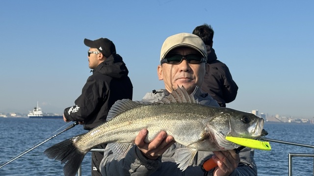 シーバス(スズキ)